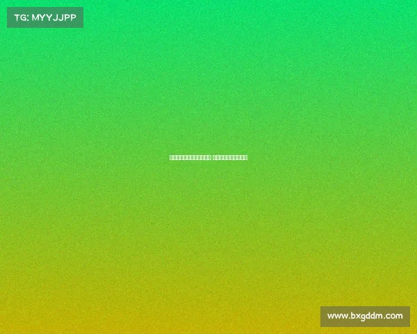 萨利巴：哲凯赖什表现卓越 目标锁定英超冠军荣誉